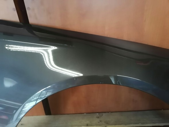 Tong Yang 955502 КРИЛО ПРАВЕ VOLKSWAGEN PASSAT B6 LC8Z