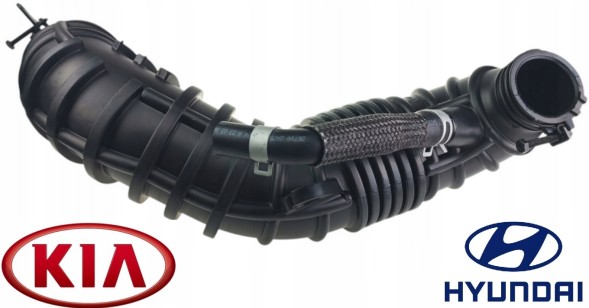 Hyundai OE WB/RURA HYUNDAI KIA/ORYGINAŁ HYUNDAI KIA 11-19 ТРУБА ПОВІТРОВОДУ ВПУСКНОГО КОЛЕКТОРА
