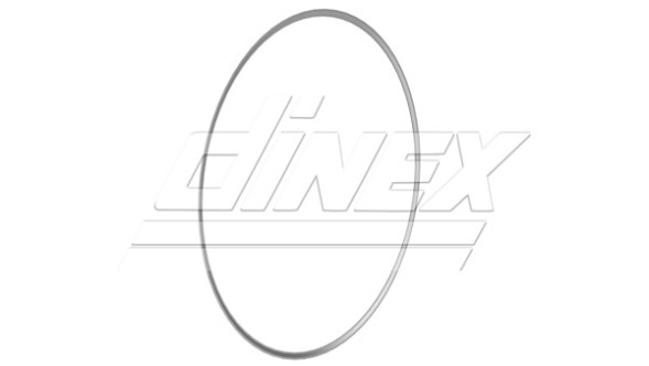AD BRAKE VIC-416558 Прокладка випускної системи для IVECO EUROCARGO EURO 6 IVECO EUROCARGO IV,