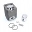 German 39618441 WACKER WM80 BS500 BS600 циліндр 45 мм GERMAN + СВ