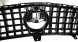 Intercar A2548881400 MERCEDES W254 ГРИЛЬ РАДІАТОРНА КАМЕРА