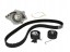 Continental CT1091WP1 Комплект ременя грм + водяний насос ct 1091 wp1 continental