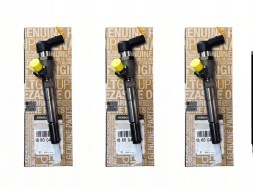 Renault OE 166008052R H8200704191 Інжектор 5ws40536 a2c5321655180 166004305r 166008052р 8200903034 1,5 dci