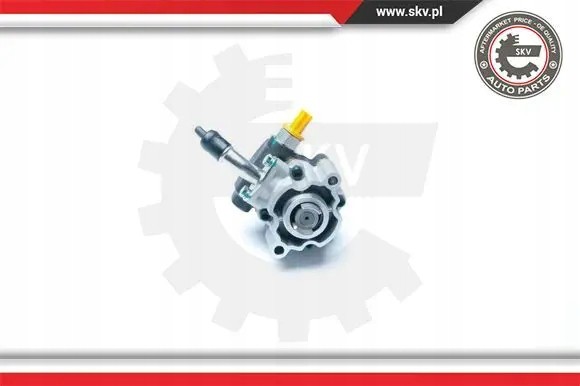 ESEN SKV 10SKV189 Насос гідропідсилювача 10skv189 esen skv