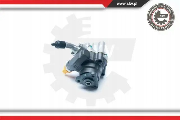 ESEN SKV 10SKV189 Насос гідропідсилювача 10skv189 esen skv