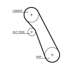 5541XS GATES Пас ГРМ