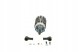Bosch 0 580 464 126 Bosch 0 580 254 909 паливний насос