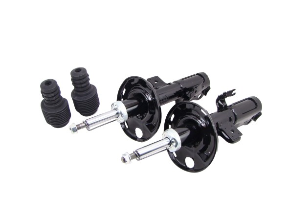 GT-Parts 053954LR PK3001 Амортизатори х2 ПЕРЕДНІ + бампери + чехли TOYOTA RAV4 III 2005-