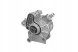 Borsehung B18801 Вакуумний org вакуумний насос vag 1.9d 038145101b b18801