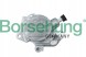 Borsehung B18801 Вакуумний org вакуумний насос vag 1.9d 038145101b b18801