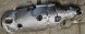 AS ASC FT5319 9841854880 Фільтр твердих частинок Citroe Berlingo Peugeot 2008 3008 308 5008 9841854880