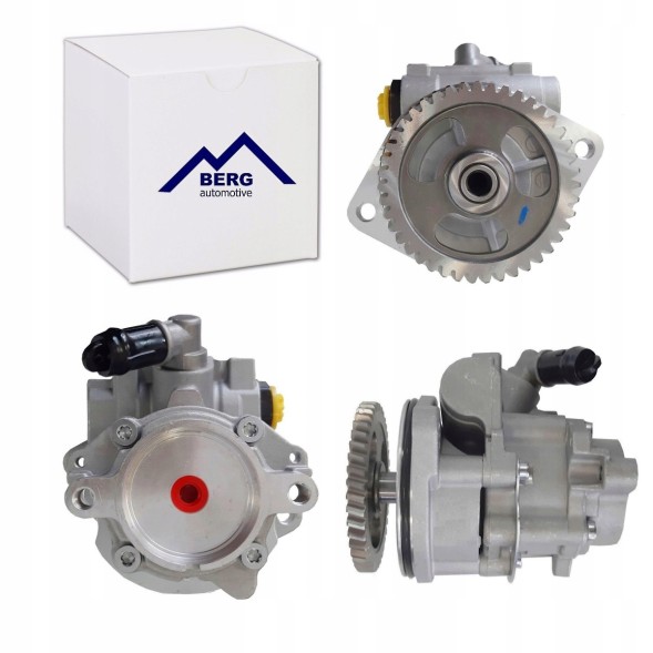 Berg Automotive BERG DA7447 Насос ГУР VW LT 2.8TDI 99-06 AUH BCQ