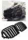 Proteile A080601 Airautopl РЕШІТКА РАДІАТОРА BMW X6 G06 ЧОРНИЙ ГЛЯНЕЦЬ ПОДВІЙНІ ПЛАСТИНКИ НОВА