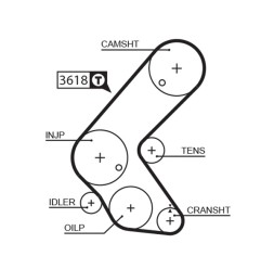 5563XS GATES Пас ГРМ
