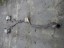 Mercedes-Benz OE A2094903214 2094903214 MERCEDES SLK W171 W203 W209 КАТАЛІТИЧНИЙ ФІЛЬТР DPF