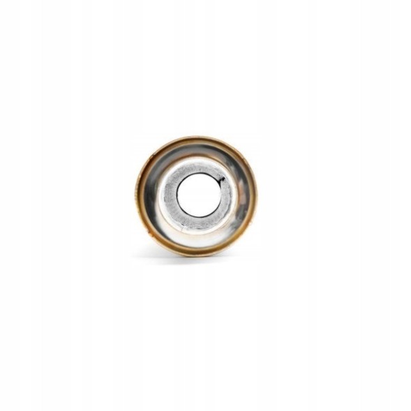 RM Motors RM01/70/120/300 Спортивний наскрізний глушник RM01 300 мм 70 мм 120 м
