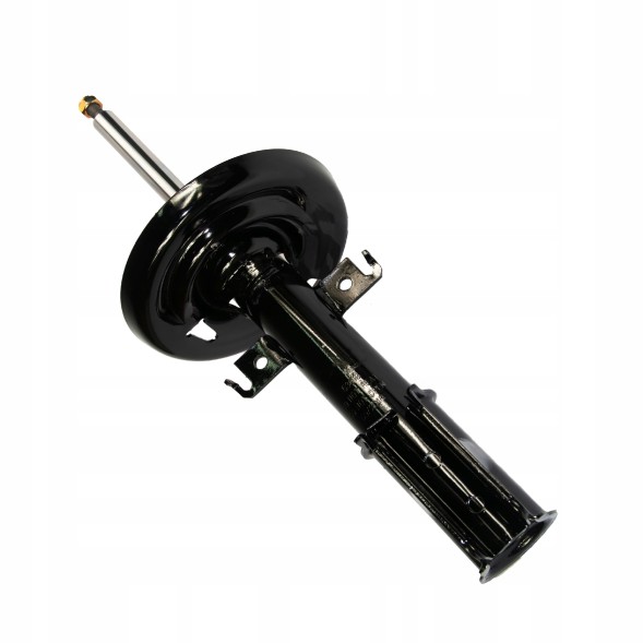 GT-Parts 053013, PK Амортизатори х2 ПЕРЕДНІ + бампери + чехли RENAULT SCENIC III 09-