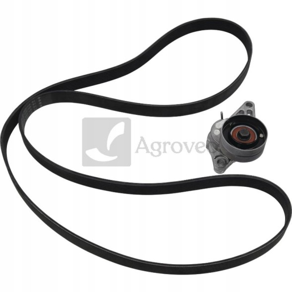 Schaeffler INA 529 4003 10 Комплект багатоклинових ременів