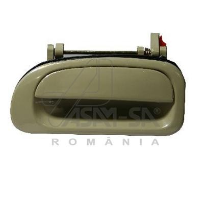 30335 ASAM Ручка дверна