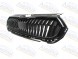 PJ 6VAAT21CZ Муляж / Решітка з чорною рамкою Skoda Fabia 4 21-25 кріплень + захисні кришки КОМПЛЕКТ