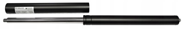 Китай G40 300 0686GZGZ6000N/5/6 Пружина газова штовхаюча Hahn 686мм 300м 500-6000N