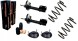 Denckermann SS261788B Амортизатори пружин HYUNDAI TUCSON JM KIA SPORTAGE III JE KM 2004- ПЕРЕДНІ