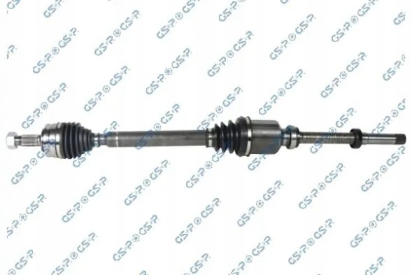 GSP 256581 Півось 256581 gsp