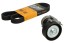 V-maxzone Part VIC-162949 Комплект поліклинових ременів 6 PK 1080 K1 для AUDI A2; SEAT CORDOBA, IBIZA