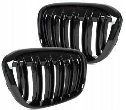Polcar 206005T2 BMW X1 E84 2009-2015 РЕШІТКА РАДІАТОРА НІРКИ ГЛЯНСЕВА ЧОРНА