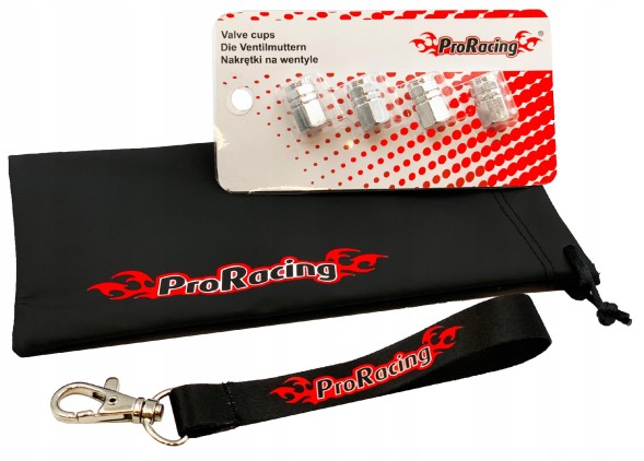 ProRacing CHIPTUNING PRORACING OBD2 195 Чіп-тюнінг Powerbox ProRacing Seat Exeo 2.0 TDI