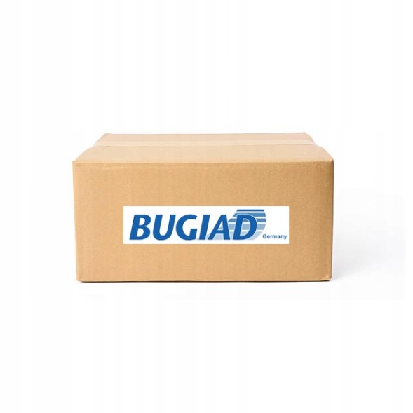 Bugiad BSP25348 Випускний колектор bsp25348 bugiad