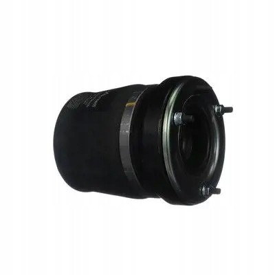 Arnott A-286 21 2x сильфон Arnott airbag FRONT L+R для BMW X3 E53