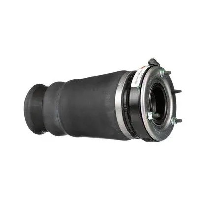 Arnott A-286 21 2x сильфон Arnott airbag FRONT L+R для BMW X3 E53