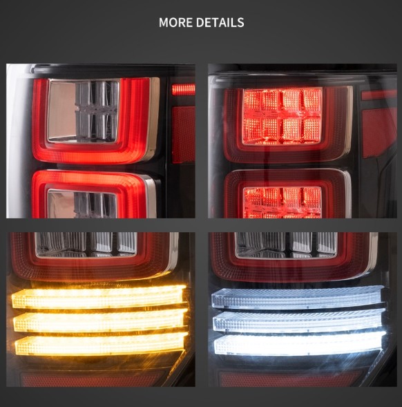 VLAND LDFO93 mhm Комплект задніх ліхтарів Vland Led Neon Dynamic Diodes Ford F150 F-150 XII mk 12 08-