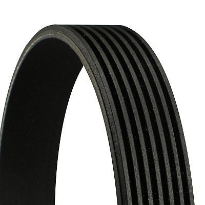 7PK1119EXTRA CONTINENTAL Ремінь поліклінової Conti