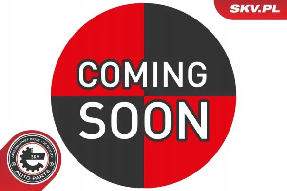 ESEN SKV 68SKV168 Повітродувка вентилятор припливна 68скв168 esen skv