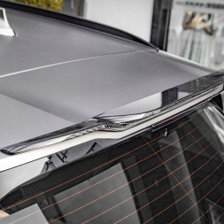 Китай T-297 Карбоновий спойлер на дах BMW iX3 G01/G08 LCI SQ Style (Dry-Carbon)
