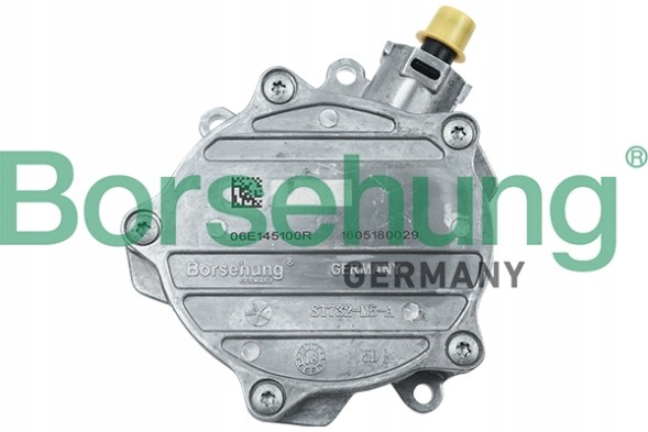 Borsehung B18773 Вакуумний насос 06e145100r audi a4,a5,a6,a7,a8,q5,q7 vw touareg b18773
