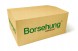Borsehung B18773 Вакуумний насос 06e145100r audi a4,a5,a6,a7,a8,q5,q7 vw touareg b18773