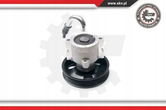 ESEN SKV 10SKV206 Насос гідропідсилювача 10skv206 esen skv