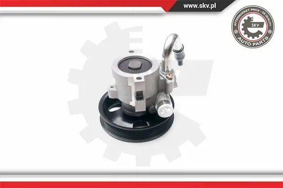 ESEN SKV 10SKV206 Насос гідропідсилювача 10skv206 esen skv