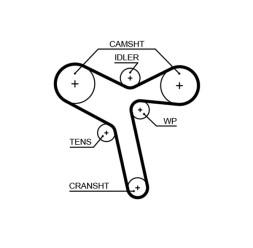5647XS GATES Пас ГРМ