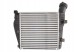 Thermotec DAA014TT Охолоджувач впускного повітря thermotec daa014tt