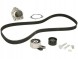 Schaeffler INA Комплект ременя ГРМ + водяний насос 530 0562 30 INA