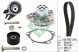 Schaeffler INA Комплект ременя ГРМ + водяний насос 530 0562 30 INA