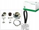 Schaeffler INA Комплект ременя ГРМ + водяний насос 530 0562 30 INA