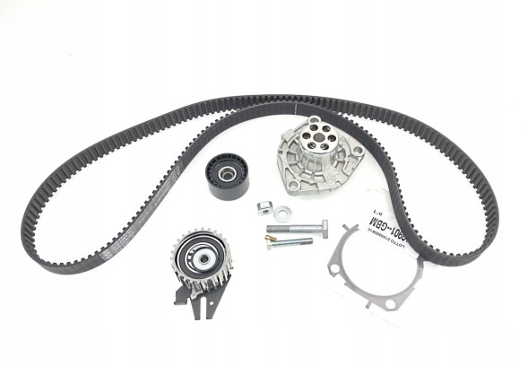 Schaeffler INA Комплект ременя ГРМ + водяний насос 530 0562 30 INA