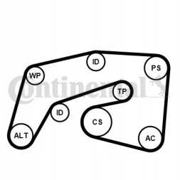 Continental 7PK2035K1 Continental ctam 7pk2035k1 комплект клинового ременя багаторівковий
