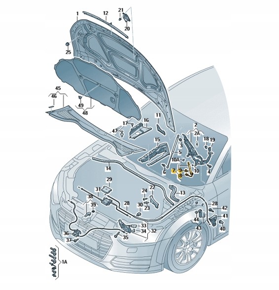 Volkswagen OE Тригер захисту пішоходів 8S0823823C OE