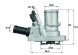 TI 144 88 MAHLE ORIGINAL Термостат